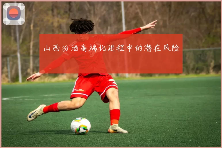 山西汾酒高端化进程中的潜在风险