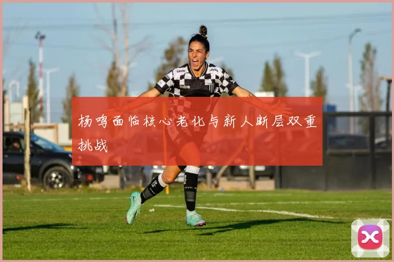 杨鸣面临核心老化与新人断层双重挑战